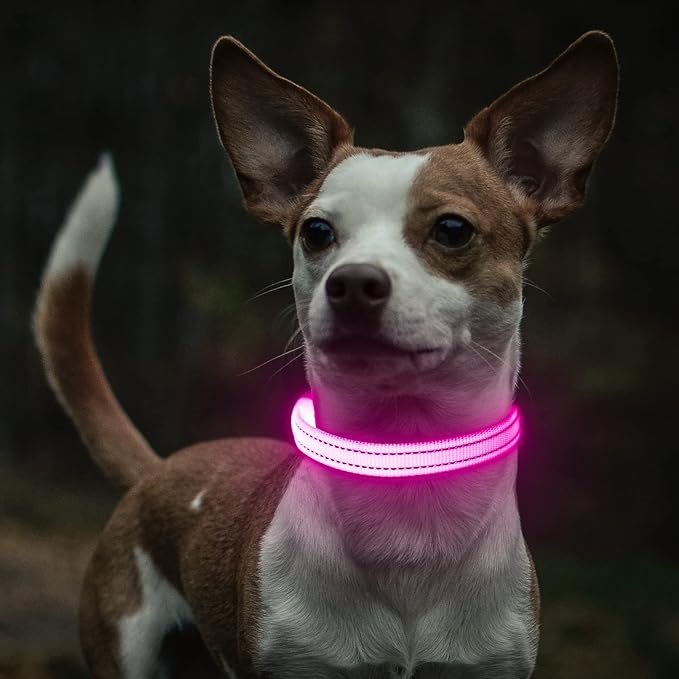 Light Up Dog Collar for Small Dogs - LED Dog Collar Rechargeable Adjustable Puppy Collars, Glow in The Dark Dog Lights for Night Walking & Camping (X-Small, Pink)