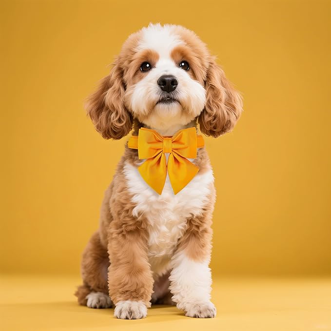 Maca Bates Mango Yellow Dog Collar with Cute Solid Sailor Bow Tie for Medium Girl Boy Dogs,Adjustbale Durable Breakaway Soft Collars with Bowtie for Female Male Puppy,Pet with Metal Buckle
