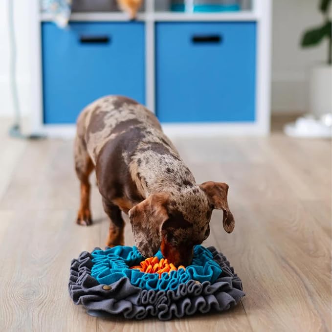 Messy Mutts Square Forage Mat with Suction Cups on Back for Stability | 11” x 11” Snuffle Mat Puzzle for Dogs | Stimulating Sniffing Interactive Puzzle for Dogs