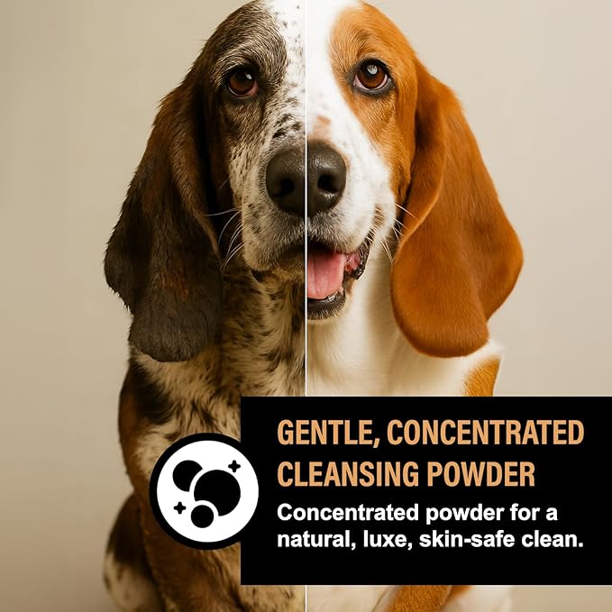 Dog Shampoo Alternative – Oatmeal & Honey Puppy Bubble Bath with Autumn Scent – Natural Gentle Dog Wash – Halloween Dog Gift - 12 Baths (Cranberry Spice)