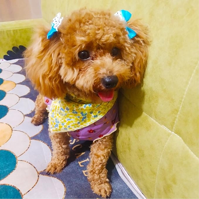 Dog Bows, Cute Hair Bowknot with Rubber Bands Handmade for Puppy Yorkie Grooming Hair Accessories & Varies Patterns Topknot Bows(70 pcs Upgrade Rubber Bands)