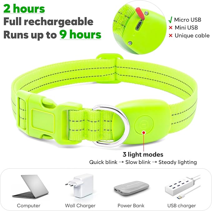 Light Up Dog Collars Rechargeable, Reflective LED Glow Dark Dog Collar for Small Medium Large Dogs, Adjustable Pet Dog Lights for Safe Night Walk-Green, Small