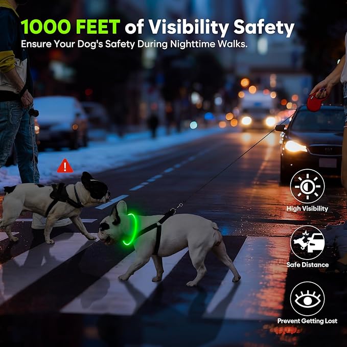 LED Dog Collar, Light Up Dog Collars USB Rechargeable for Night Walking-Fashion TPU Glowing Safety Pet Collar Lights for Small Dogs Cat (Green)