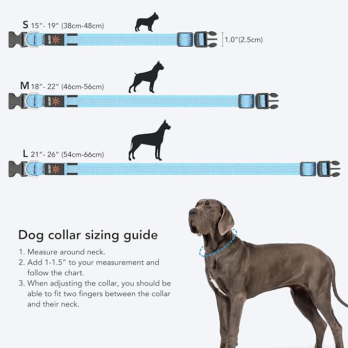 Weesiber Light Up Dog Collars - Rechargeable LED Collar - Reflective Adjustable Dog Lights for Night Walking (Blue, Small)