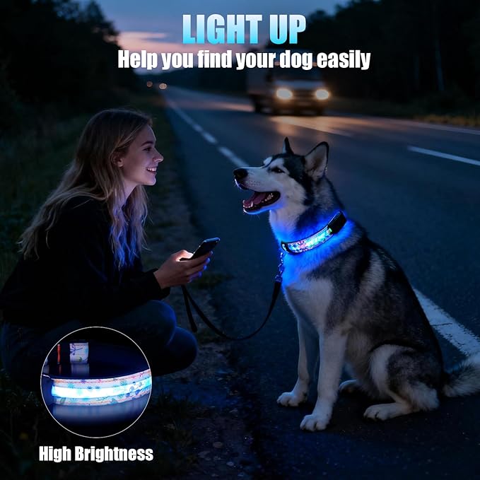 LED Dog Collar - Brightest Light Up Dog Collars - 1,600 Feet of High Visibility - Magnetic Charging - Dog Lights for Night Walking, Flower Large