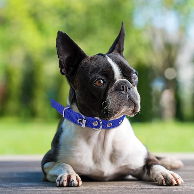 Adjustable Pet Collar with Alloy Buckle Soft Polyester Dog Collar for Small to Medium Dogs Outdoor Use in Royal Blue