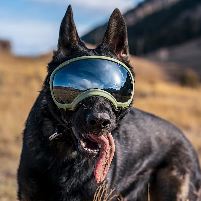 Rex Specs V2 Dog Goggles (X-Large, Black)