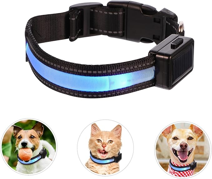 Dog Collars for Dogs Night Safety Led Pet Collar USB Charging Fashionable Pet Supplies