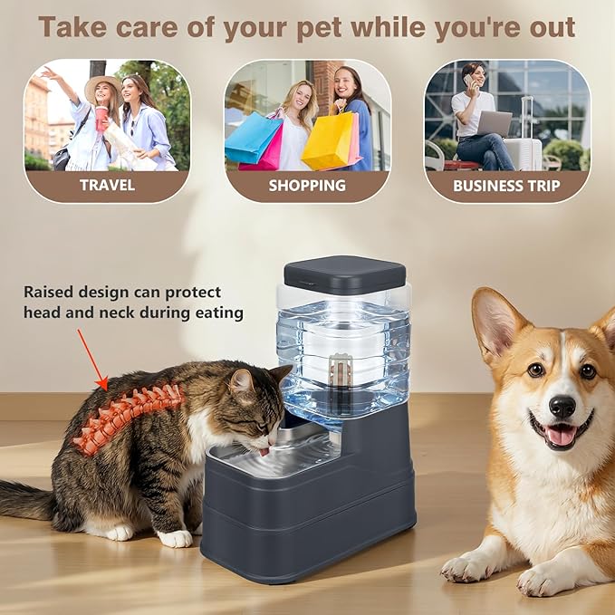 1.6 Gallon Pet Automatic Dog Water Dispenser Cat Gravity Waterer Feeder with Stainless Steel Bowl Large Capacity Puppy Feeding Raised Bowls with Filter,Ice Pack