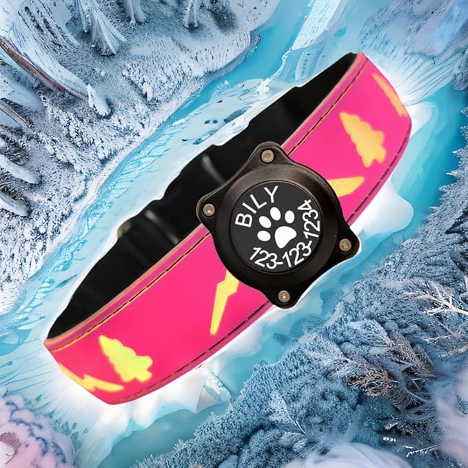 Personalized USB-C led Light up Night Dog Collar for Black Dog with Waterproof airtag Holder,Xmas Hallowmas Dog Collar (Pink, S(7.87-11.8"))