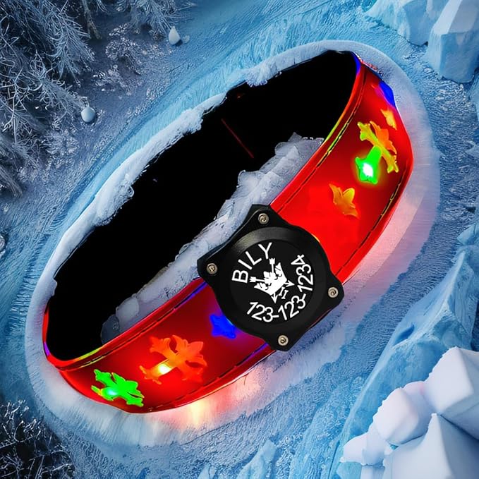 Personalized USB-C led Light up Dog Collar with Airtag Holder, IPX7 Waterproof,15 Modes Changing Multicolored Lighting (RED Pro, S(7.87-11.8"))