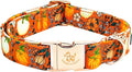 Elegant little tail Halloween Dog Collar, Pumpkin Print Pet Collar Fall Orange Puppy Cotton Collars Female or Male Dog Collars for Small Medium Large Dogs