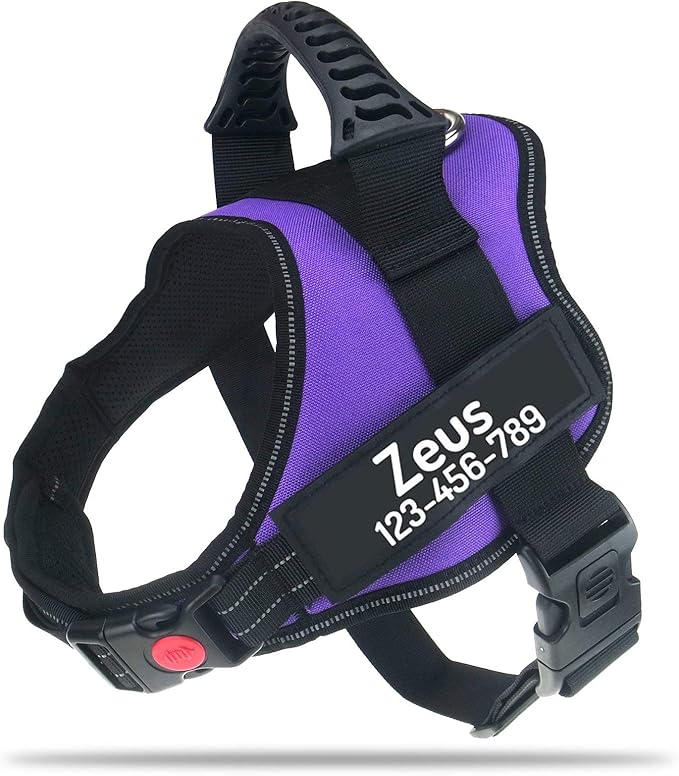 Personalized No Pull Dog Harness with Custom Name and Phone Number by PawPawify, Heavy Duty Pet Vest to Prevent Tugging, Pulling, or Choking, Training and Walking