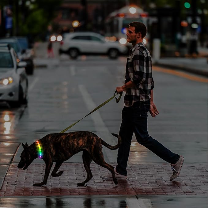 Light Up Dog Collar - Multicolor LED Dog Collar with 3 Glow Modes, Rechargeable Glow in The Dark Dog Collars for Small, Medium & Large Dogs, 1000 Ft Visibility, IPX7 Waterproof (Black, S)