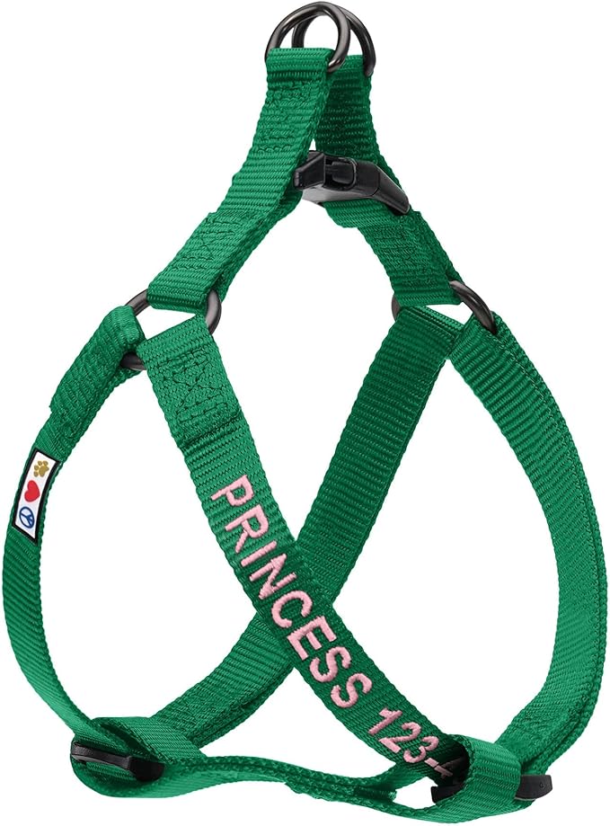 Pawtitas Personalized Dog & Puppy Harness Medium Lush Green Custom ID Tag Adjustable No Pull Vest