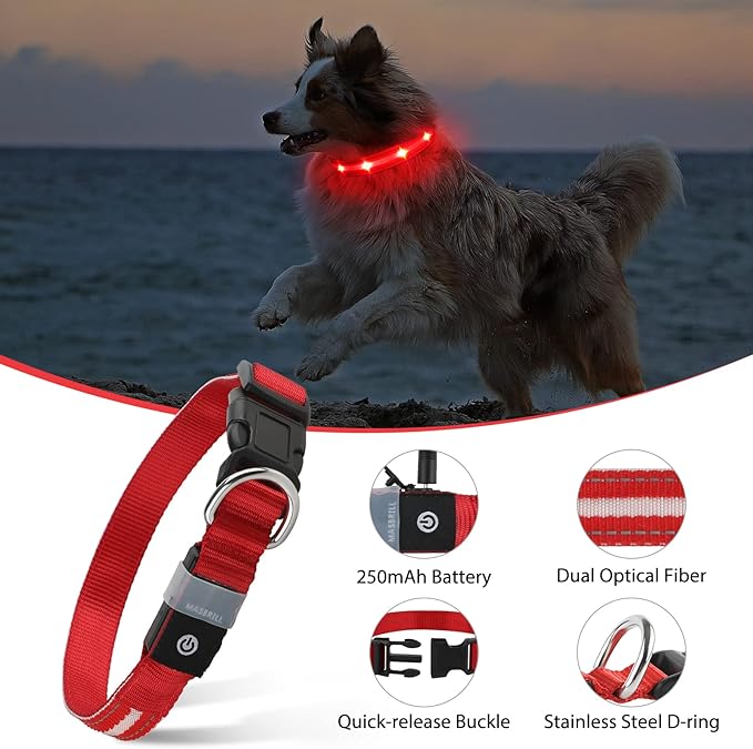 MASBRILL Led Dog Collar, Rechargeable Water-Resistant Lighted Flashing Glowing Night Safety Collar
