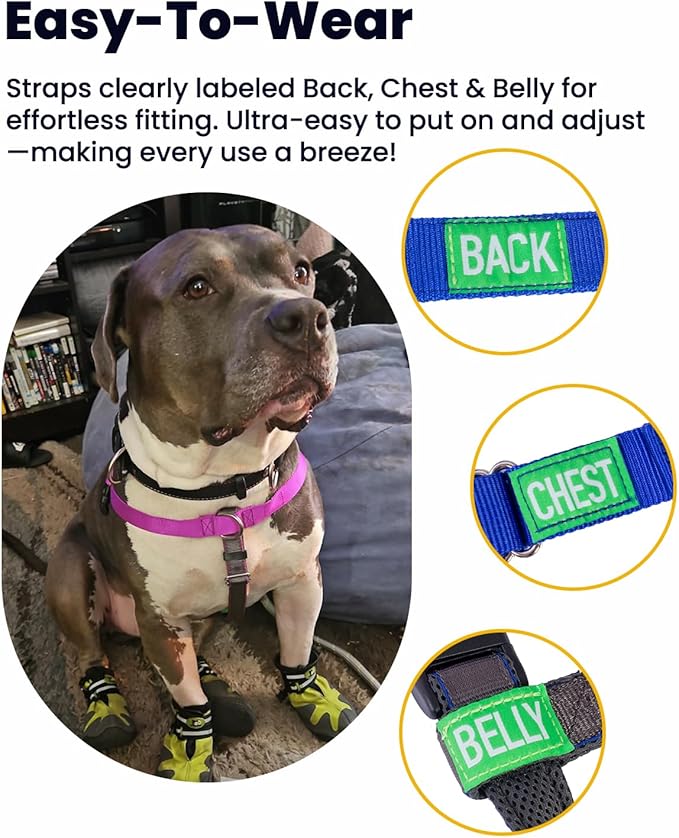 Freedom No Pull Dog Harness, Easy Walk with Two Stainless D-Rings, Front Clip, Comfortable, Sewn-in Instructions Tags for Easy Use, for Large Dogs Weight 60-85 lbs (Blue, L)