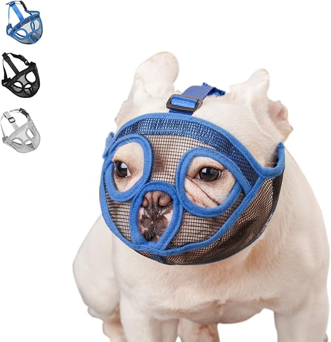 Short Snout Dog Muzzle Bulldog Muzzle, Stop Dog for Biting Barking Chewing, Adjustable(L, Blue)