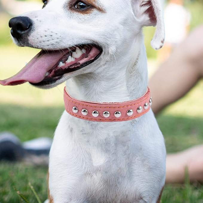 Stylish Comfortable Dog Collar for Pets Vintage Soft Puppy Neck Decor for Daily Wear and Photo Shoots Accessory for Special Occasions