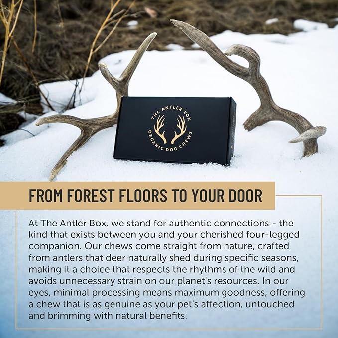 The Antler Box Premium Deer Antler Dog Chews (1 lb Bulk Pack) (Medium (5 Antlers/lb)…
