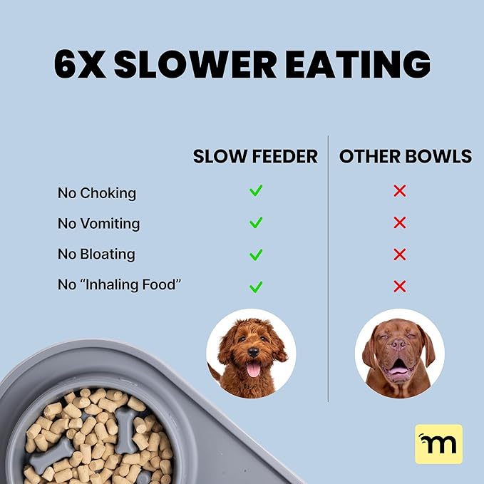 MalsiPree 2-in-1 Slow Feeder & Water Bowl Set 15 oz - Anti-Spill Silicone Mat - Stainless Steel Dish, Stainless Steel Water Bowl - Eases Digestion - Pet Gift for Cat, Puppy, Small & Medium Dog Slow