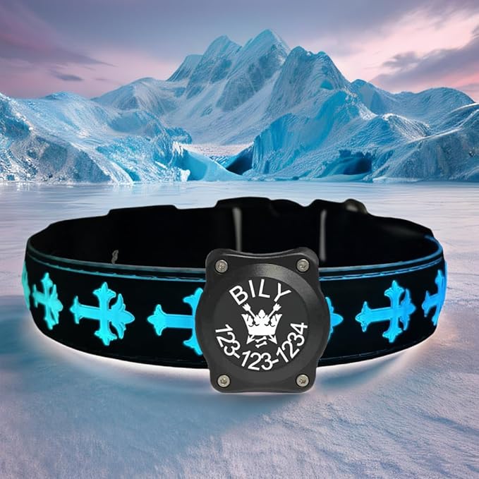 Personalized USB-C led Light up Dog Collar with Airtag Holder, IPX7 Waterproof,15 Modes Changing Multicolored Lighting (Black, L(15.7-19.7"))