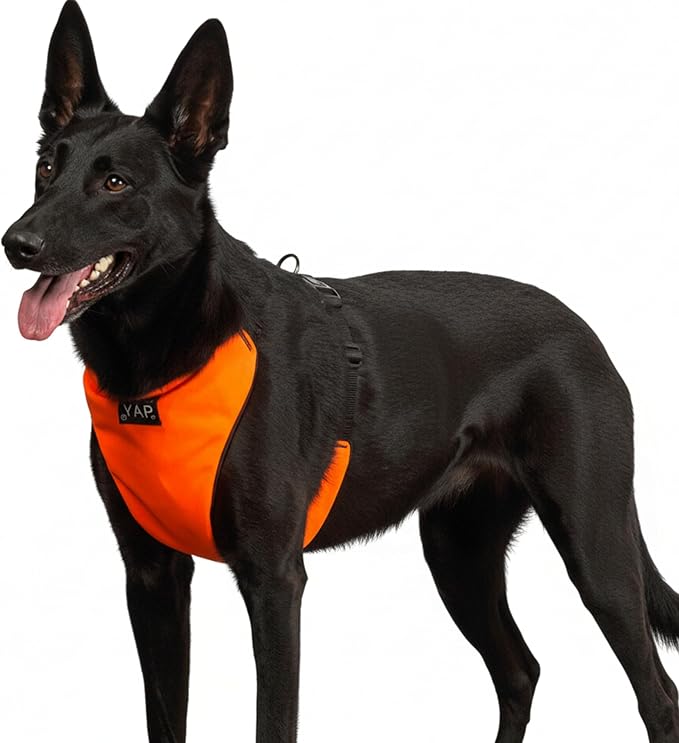 YAP Techno® No Pull Harness for Small Dogs, 4-Way Adjustable, Temperature Controlled Pet Vest Harness, Chokefree Dog Harness with Easy Control Handle for All Breeds; 15-25 lbs (Signal Orange, Small)