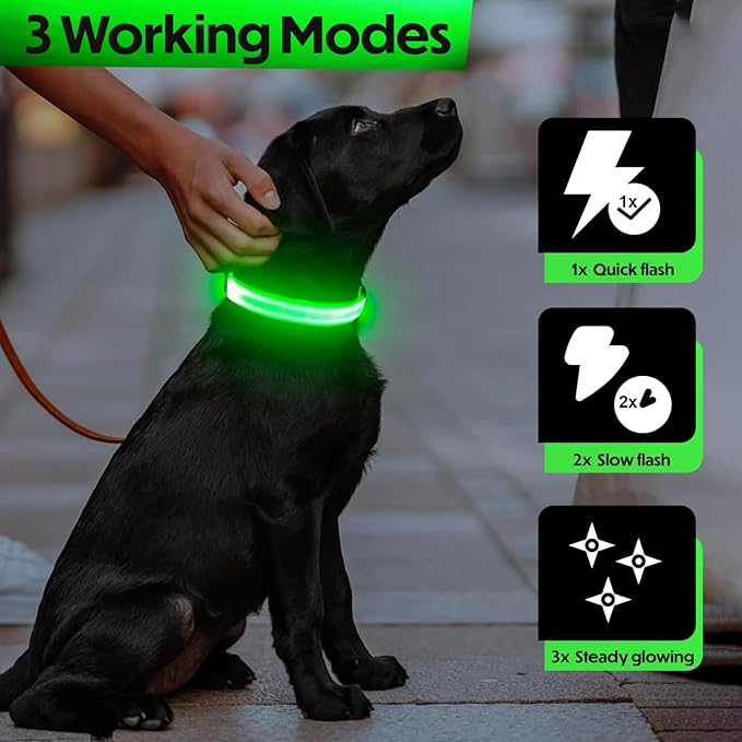 Light Up Dog Collar – Reflective, Adjustable, Rechargeable Electronic Glow Pet Collars – Bright, Comfortable, High Visibility LED Dog Collar for Night Safety, Outdoor Walk, Flashing Fun, Green, Medium