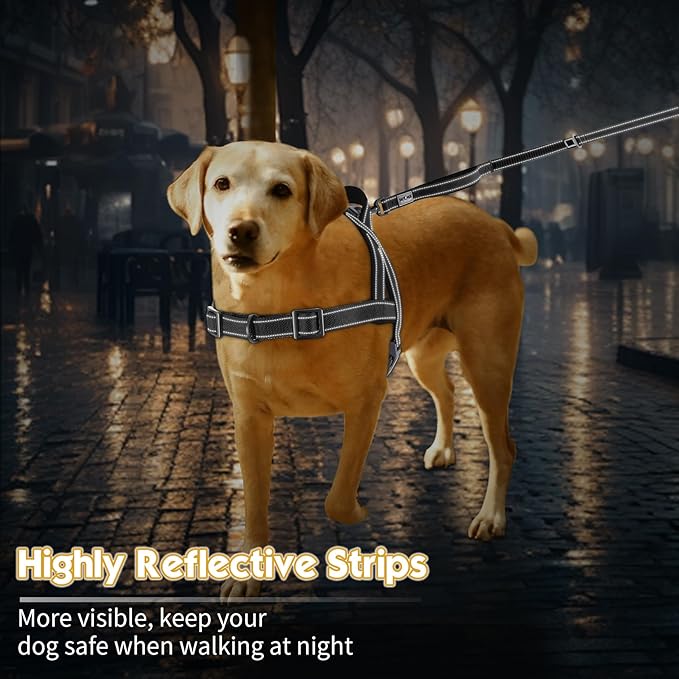 No Pull Dog Harness, Reflective Puppy Harness with Soft Padded Handle, Escape Proof/Quick Fit Adjustable Pet Harness for Small Medium Large Dogs, Easy for Training Walking (Black, M)