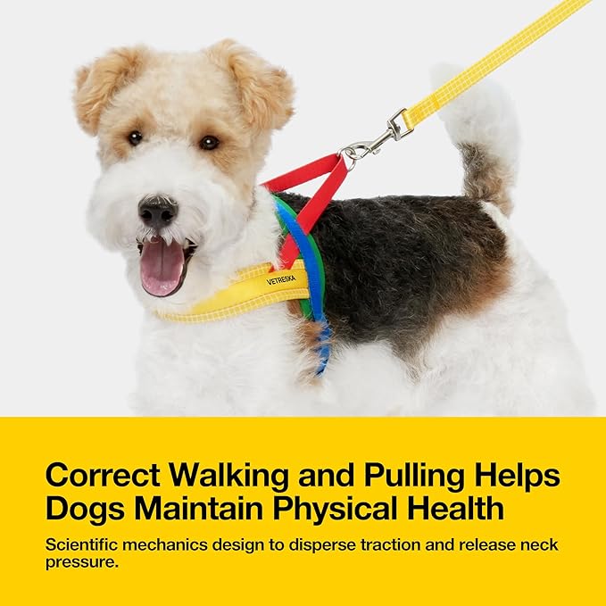 VETRESKA MoMA Dog Harness and Leash Set, Easy Walk Dog Harness for Small Medium Dogs, No Pull Puppy Harness for Walking and Training, Adjustable, Take Control & Anti-Twist Pet Lead Combo(Yellow, S)