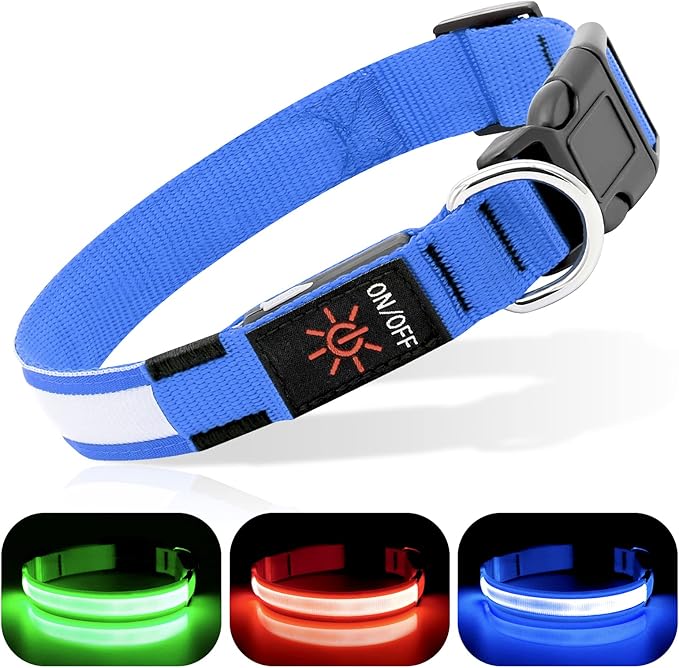 BSEEN Light Up Dog Collar - Reflective LED Light Puppy Collar Rechargeable Waterproof Glow in The Dark Dog Collars for Small Medium Large Dogs (Royal Blue, Medium)