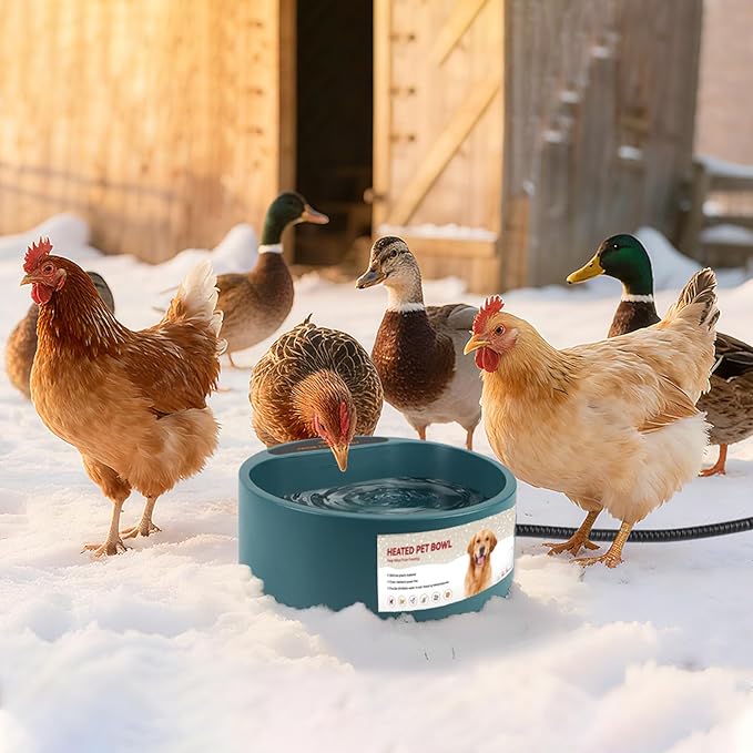 Dog Heated Water Bowl for Outdoor No Freeze Water Bowl Pet Water Heater with Chew Resistant Cord, 2.2L