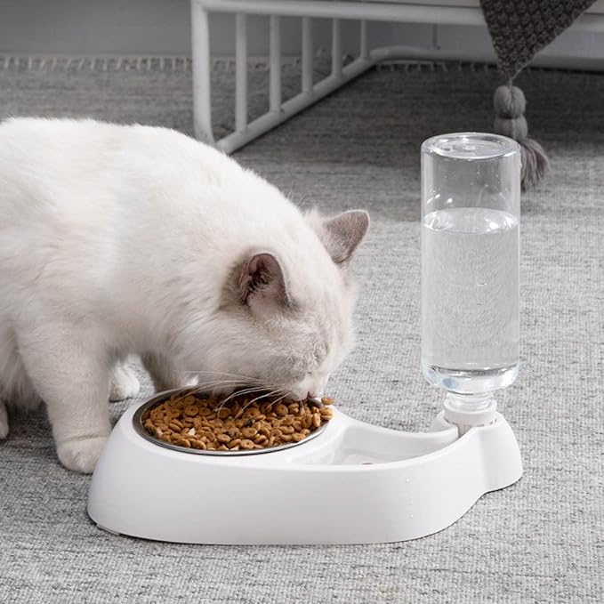 for Creative Automatic for Feeder and Water Dispenser Dog Water Bowl Dispenser Easy Cleaning Good Present for Dog L