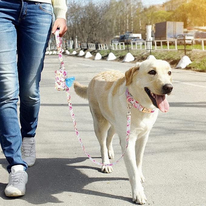 Flower Dog Collar Leash Set Custom Small Medium Large Dog Pet Collars Floral Print Nylon Dog Collars with Treat Bag Snack Bag Pink Collar Leash S