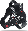 Personalized No Pull Dog Harness with Custom Name and Phone Number by PawPawify, Heavy Duty Pet Vest to Prevent Tugging, Pulling, or Choking, Training and Walking
