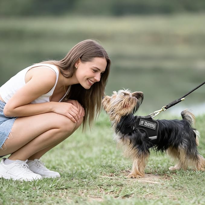 Durable Handwoven Dog Leash for Small & Medium Dogs, 5/16 inch Rope Lead with Anti-Tangle Swivel Clip, Soft & Lightweight, 5FT Long – Ideal for Daily Walking & Training (Black)
