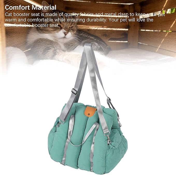 Small Dog Car Seat, Easy to Clean Closed Design Warm Dog Booster Seat Blanket with Portable Handle for Cats Dogs (Green)