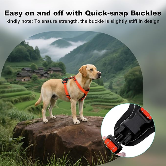 Plutus Pet Adjustable No Pull Dog Harness with Leather Accents, Heavy Duty Reflective Nylon Vest for Training, Hiking, Easy Walk Harness for Small, Medium, Large Dogs (Orange, S)