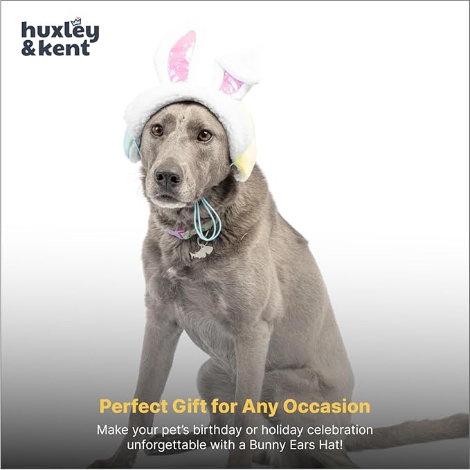 Huxley & Kent Pet Hat for Dogs & Cats - Cute Easter Costume Hat with SnugFit Adjustable Straps - Soft Cap for Spring, Photos & Parties - Bunny Ears, Extra Large