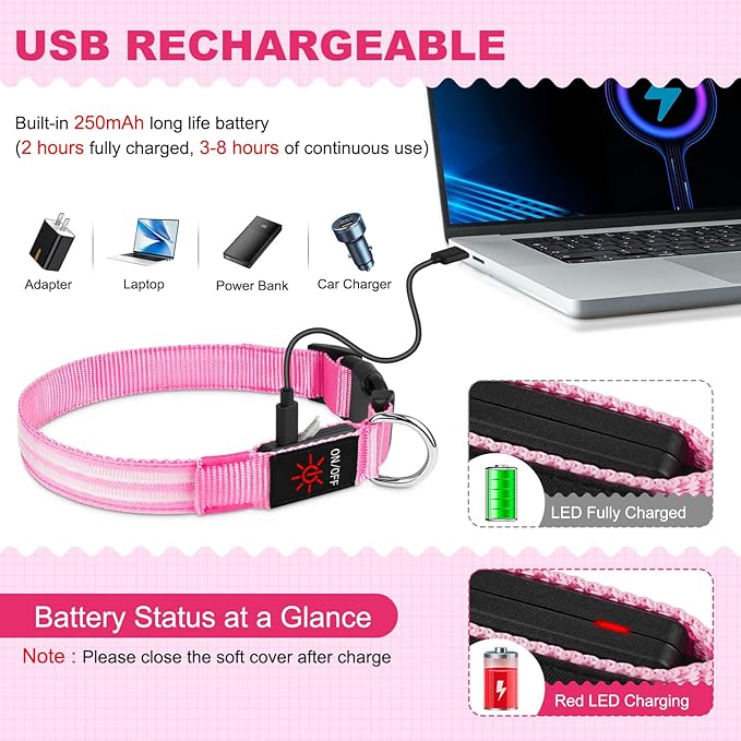 Illumifun Lighted Dog Collars for Night, USB Rechargeable Light Up Dog Collar, Water-Resistant LED Dog Collar Glow in The Dark (Pink, Medium)