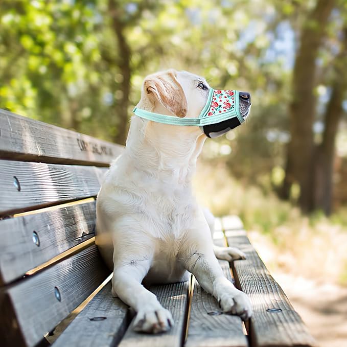 HEELE Dog Muzzle,Soft Nylon Muzzle Anti Biting Barking Chewing,Air Mesh Breathable Drinkable Adjustable Loop Pets Muzzle for Small Medium Large Dogs 4 Colors 4 Sizes (P-Cyan Flower, XS)