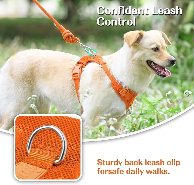 No Pull Dog Harness for Small Medium Large Dogs - Adjustable 2 Layer Mesh Dog Vest with Dual Clip, Escape Proof, Quick Release, Lightweight Breathable Mesh for Walking Hiking (Orange,XS)