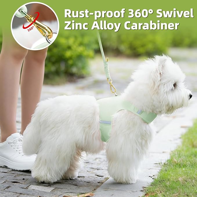 Durable Handwoven Dog Leash for Small & Medium Dogs, 5/16 inch Rope Lead with Anti-Tangle Swivel Clip, Soft & Lightweight, 5FT Long – Ideal for Daily Walking & Training (Light Green)