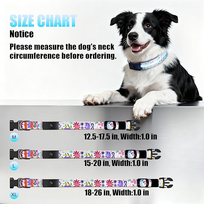 LED Dog Collar - Brightest Light Up Dog Collars - 1,600 Feet of High Visibility - Magnetic Charging - Dog Lights for Night Walking, Flower Large