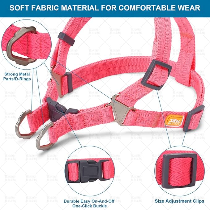 Dog Harness and Leash - Comfortable Leash and Harness for Small, Medium, Large Dogs - Perfect for Training, Includes D-Ring Harness & Leash Set