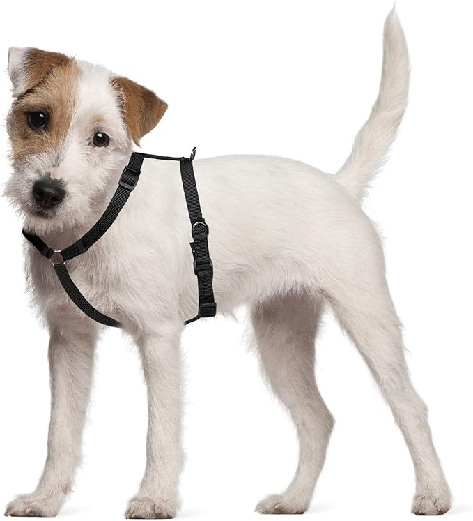 FidoRido Dog Car Seat Strap Expansion Kit - Secure & Comfortable Travel Supplies for Dogs in Vehicles, Keep Your Pet Safe, Sturdy, Dog Travel Accessories, Adjustable Sizes, Black - Small, 8" - 16"
