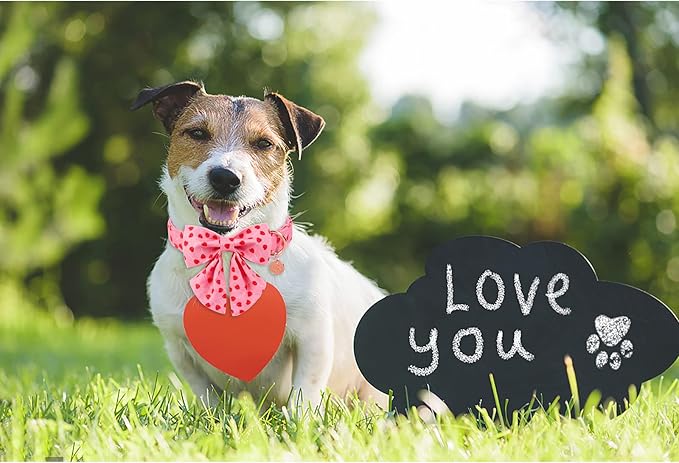 Valentine Dog Collar with Bow Tie, Valentine Bowtie Collar for Medium Girl Dog, Cotton Collar with Durable Metal Buckle, Valentine’s Gift Pet Collar, M, Red Heart