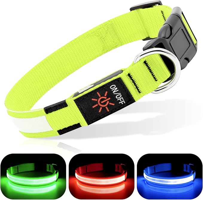 BSEEN Light Up Dog Collars - Rechargeable LED Dog Collar, Adjustable Dog Glow Collar, Reflective Pet Collar, Flashing Dog Lights for Night Walking (Neon Green, Large)