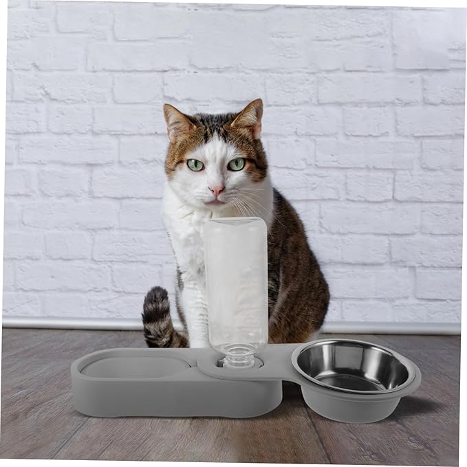 Timed Cat Feeder Automatic Water Dispenser Double Stainless Steel Bowl Pet Supply for Busy Pet Parents