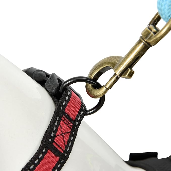 Mile High Life Dog Collar | Nylon Reflective Dog Collars | Light Weight Puppy Collars | Red Dog Collars for Small Dogs (Red, Small)